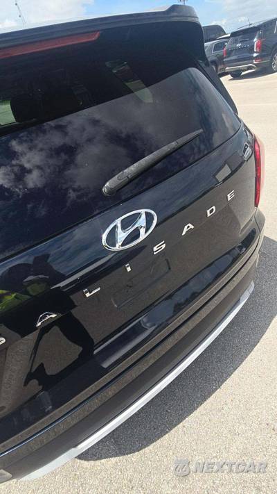 2020 Hyundai Palisade SEL - zdjęcie 19 z 21 - miniatura