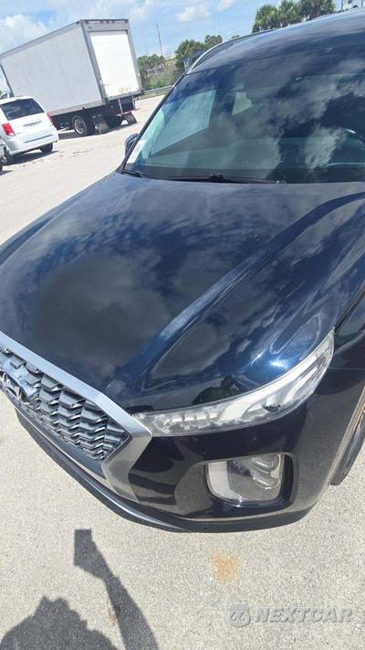 2020 Hyundai Palisade SEL - zdjęcie 21 z 21 - miniatura
