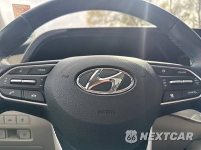 2021 Hyundai Palisade Calligraphy - zdjęcie 16 z 28 - miniatura