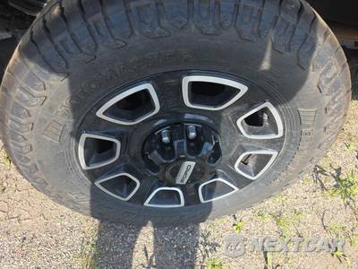 2025 Ford Super Duty F-250 Platinum Crew Cab Medium Bed - zdjęcie 10 z 22 - miniatura