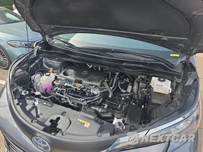 2025 Toyota Sienna LE 8-Passenger 120.5" WB - zdjęcie 19 z 22 - miniatura