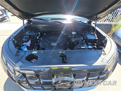 2025 Hyundai Palisade SEL - zdjęcie 14 z 28 - miniatura