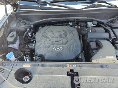 2025 Hyundai Palisade SEL - zdjęcie 14 z 32 - miniatura