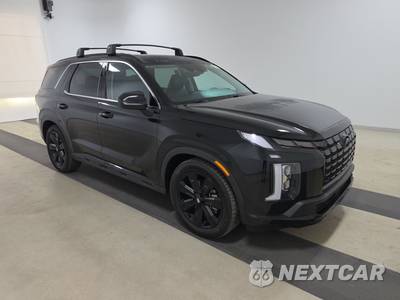 2023 Hyundai Palisade XRT - zdjęcie 3 z 21 - miniatura