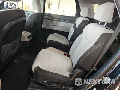 2021 Hyundai Palisade SEL - zdjęcie 13 z 46 - miniatura