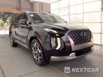 2022 Hyundai Palisade Calligraphy - zdjęcie 3 z 19 - miniatura