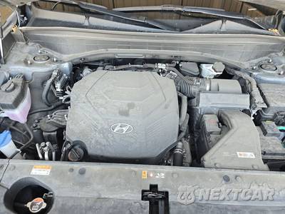 2024 Hyundai Palisade SEL 8-Passenger - zdjęcie 16 z 28 - miniatura