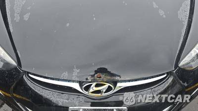 2012 Hyundai Elantra GLS Sedan - zdjęcie 22 z 25 - miniatura