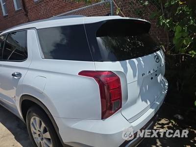 2025 Hyundai Palisade SEL - zdjęcie 6 z 21 - miniatura