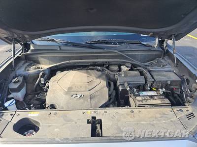 2021 Hyundai Palisade SEL - zdjęcie 16 z 18 - miniatura