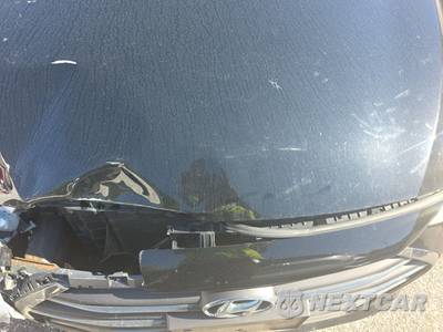 2017 Hyundai Elantra Limited Sedan - zdjęcie 15 z 24 - miniatura