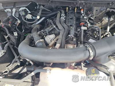 2025 Ford F-150 XLT Crew Cab Short Bed - zdjęcie 15 z 22 - miniatura