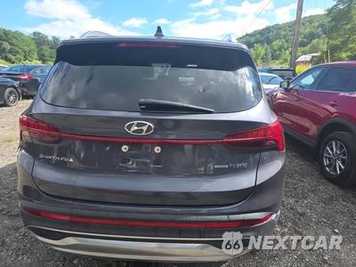2022 Hyundai Santa Fe Hybrid Limited - zdjęcie 5 z 21 - miniatura