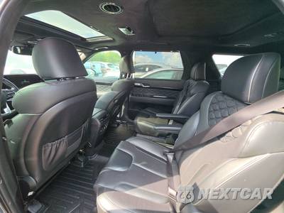 2022 Hyundai Palisade Calligraphy - zdjęcie 13 z 22 - miniatura