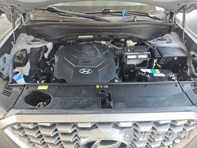 2021 Hyundai Palisade SEL - zdjęcie 16 z 43 - miniatura