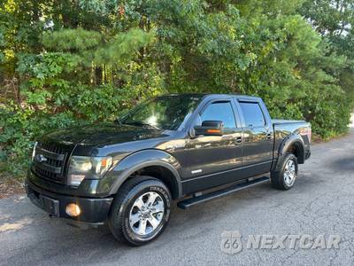 2013 Ford F-150 FX4 Crew Cab Short Bed