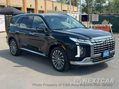 2024 Hyundai Palisade Calligraphy - zdjęcie 6 z 73 - miniatura