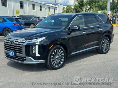 2024 Hyundai Palisade Calligraphy - zdjęcie 4 z 73 - miniatura