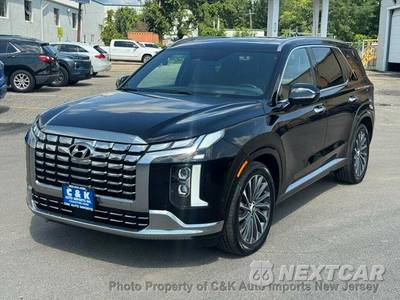 2024 Hyundai Palisade Calligraphy - zdjęcie 32 z 73 - miniatura