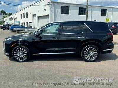 2024 Hyundai Palisade Calligraphy - zdjęcie 33 z 73 - miniatura