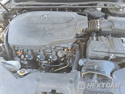 2015 Acura TLX - zdjęcie 15 z 27 - miniatura