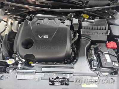 2023 Nissan Maxima SL - zdjęcie 15 z 23 - miniatura
