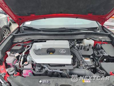 2024 Lexus UX 250h Premium - zdjęcie 15 z 34 - miniatura