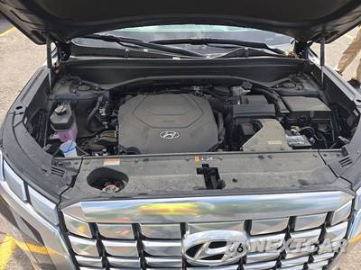 2023 Hyundai Palisade Calligraphy - zdjęcie 16 z 28 - miniatura