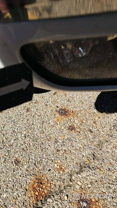 2016 Volkswagen Touareg V6 Sport w/Technology - zdjęcie 21 z 28 - miniatura