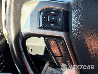 2022 Ford Super Duty F-250 Platinum Crew Cab Medium Bed - zdjęcie 21 z 73 - miniatura
