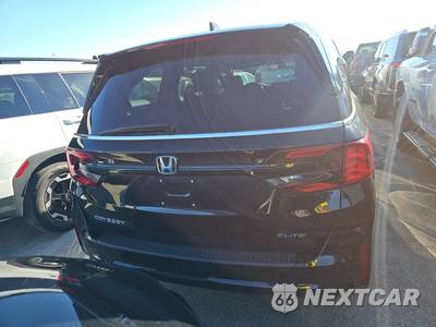 2025 Honda Odyssey Elite 118.1" WB - zdjęcie 13 z 20 - miniatura