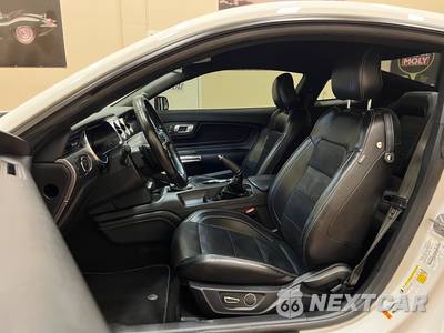 2019 Ford Mustang GT Premium Coupe - zdjęcie 18 z 50 - miniatura