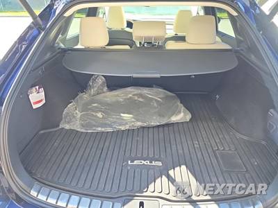 2024 Lexus RX 350 Luxury - zdjęcie 20 z 23 - miniatura