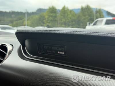 2021 Ford Mustang Shelby GT500 Coupe - zdjęcie 18 z 20 - miniatura