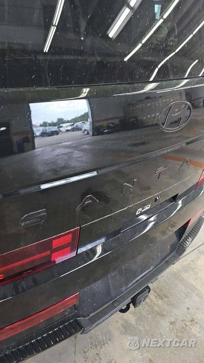 2025 Hyundai Santa Fe Calligraphy - zdjęcie 41 z 67 - miniatura