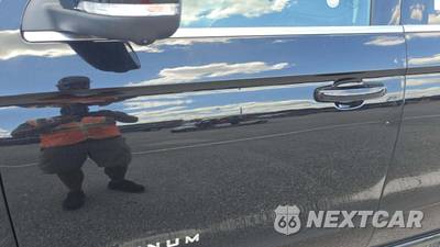 2025 Ford Expedition Platinum - zdjęcie 21 z 25 - miniatura