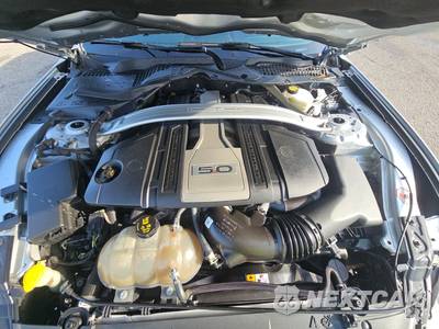 2018 Ford Mustang GT Premium Convertible - zdjęcie 15 z 35 - miniatura