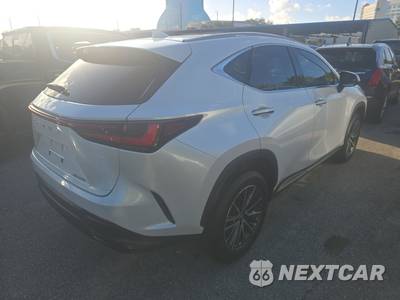 2024 Lexus NX 250 Premium - zdjęcie 4 z 20 - miniatura
