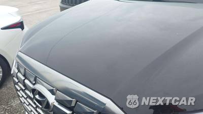 2025 Hyundai Palisade Calligraphy - zdjęcie 23 z 24 - miniatura