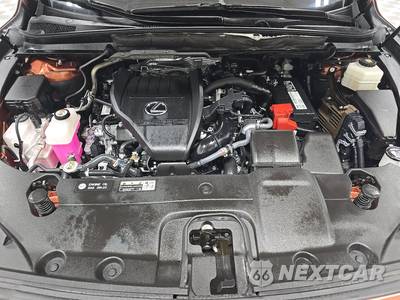 2024 Lexus RX 350 Luxury - zdjęcie 15 z 18 - miniatura
