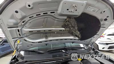 2024 Chrysler Pacifica Touring L 121.6" WB - zdjęcie 22 z 29 - miniatura