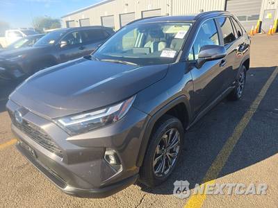 2024 Toyota RAV4 Hybrid XLE Premium
