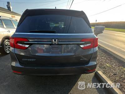 2024 Honda Odyssey Elite 118.1" WB - zdjęcie 5 z 25 - miniatura
