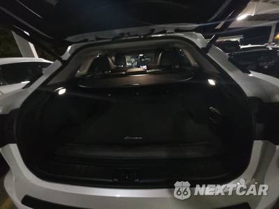 2021 Lexus RX 350 - zdjęcie 16 z 21 - miniatura