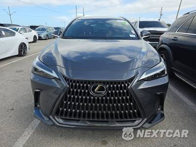 2024 Lexus NX 250 - zdjęcie 2 z 24 - miniatura