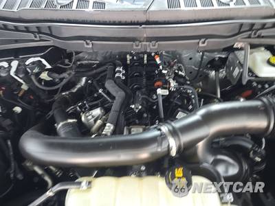 2026 Ford F-150 Tremor Crew Cab Short Bed - zdjęcie 15 z 20 - miniatura